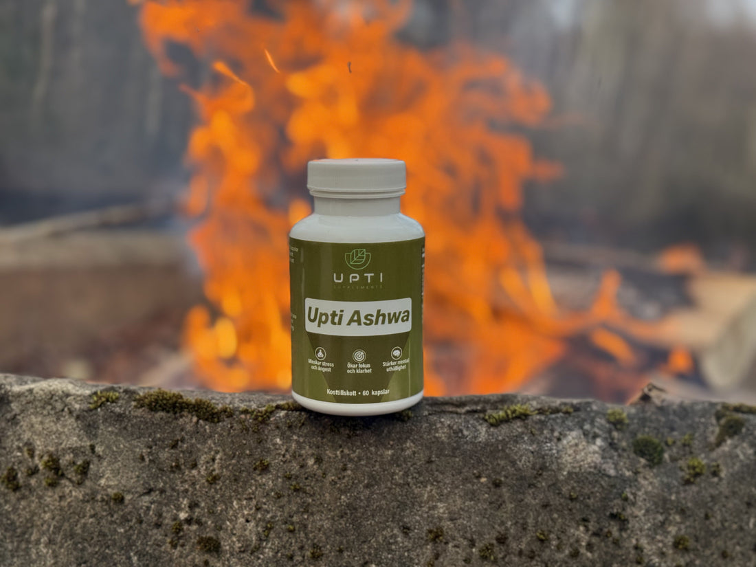 Ashwagandha: Effekter, Biverkningar och Allt Du Behöver Veta